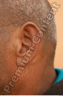 Ear texture of street references 445 0001